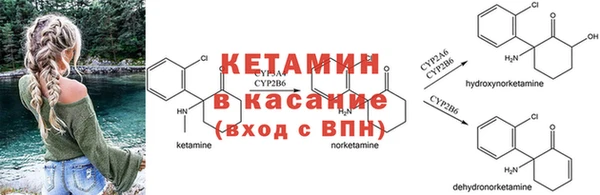 гидропоника Верея