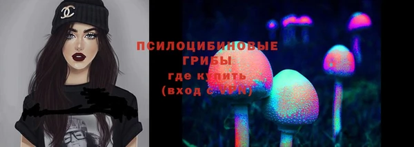 ГАЛЛЮЦИНОГЕННЫЕ ГРИБЫ Верхнеуральск