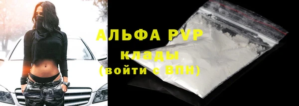 ешки Бородино