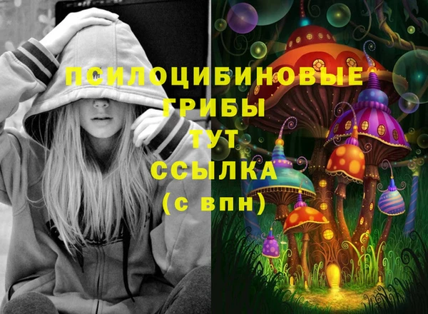 гидропоника Верея
