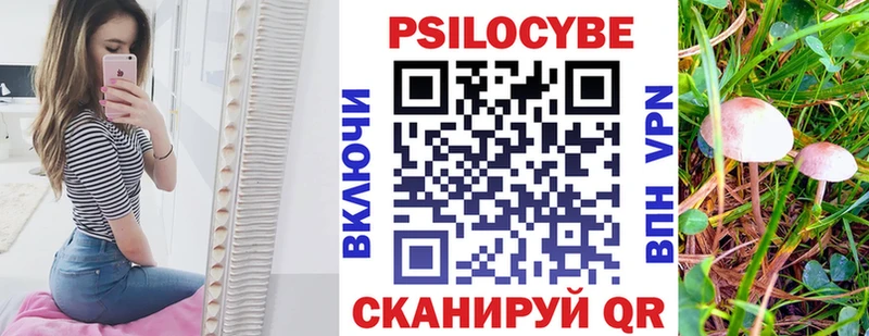 Псилоцибиновые грибы Psilocybine cubensis  Купить закладки  Лиски 